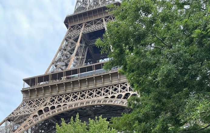 The Eiffel Tower in Paris framed by green trees
